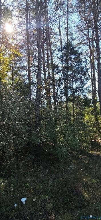0.95 Acres of Residential Land for Sale in Sandy Hook, Virginia