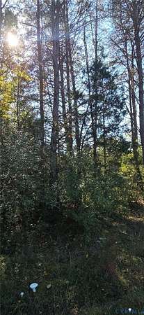0.95 Acres of Residential Land for Sale in Sandy Hook, Virginia