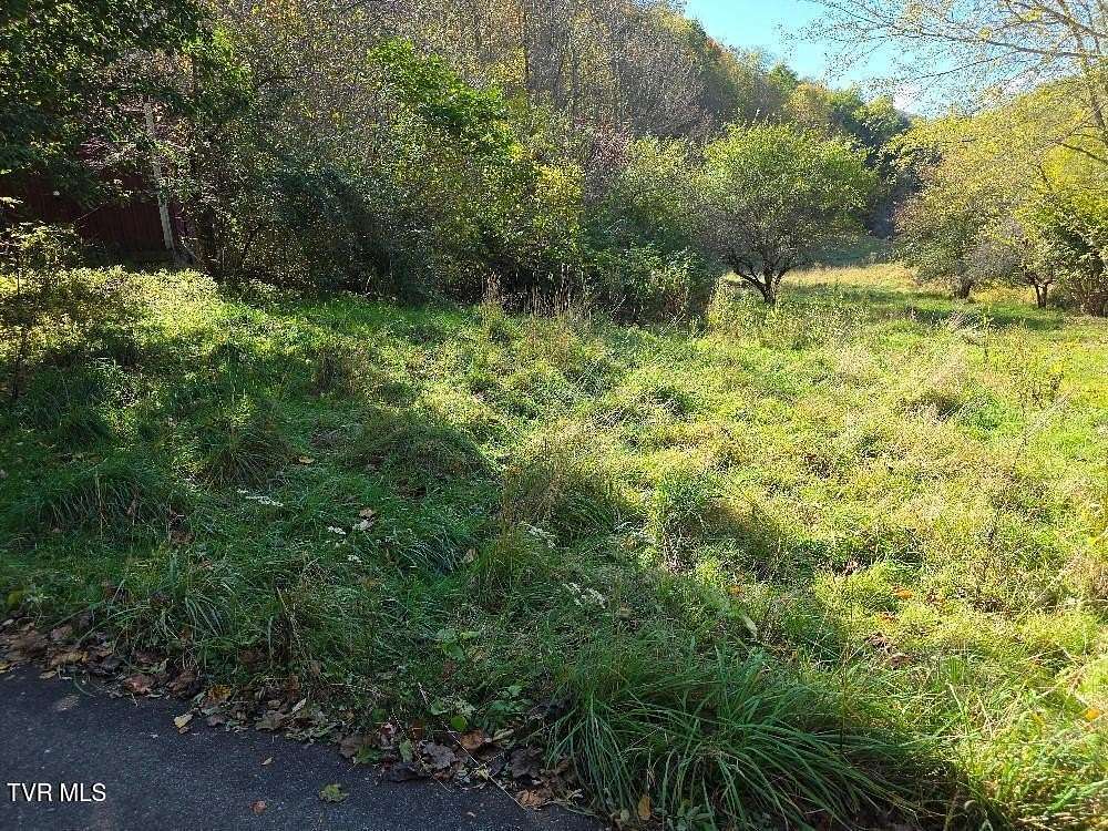 35.8 Acres of Land for Sale in Trade, Tennessee