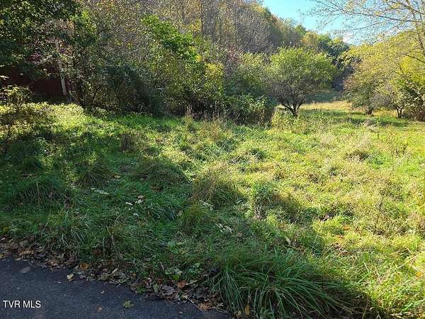 35.8 Acres of Land for Sale in Trade, Tennessee