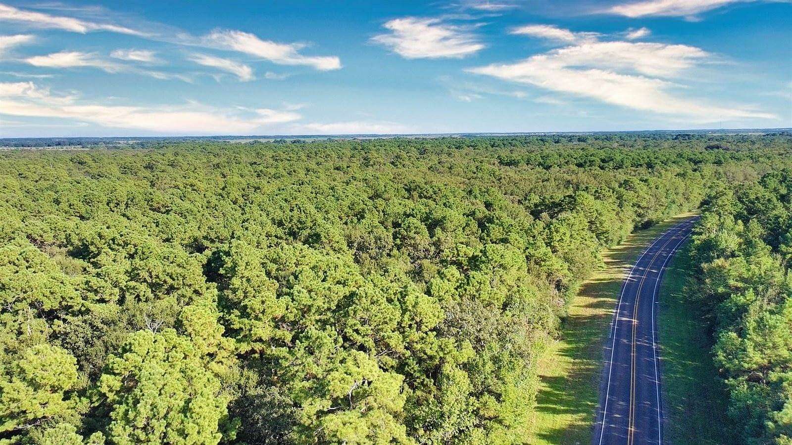 10 Acres of Residential Land for Sale in Anahuac, Texas