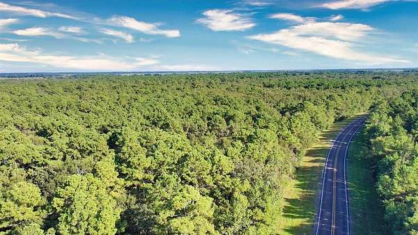 10 Acres of Residential Land for Sale in Anahuac, Texas