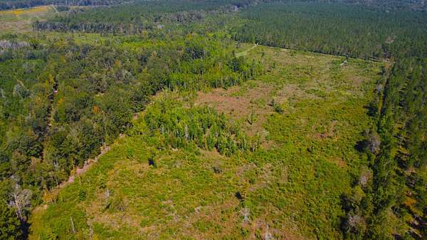 42 Acres of Recreational Land for Sale in Columbia, Mississippi