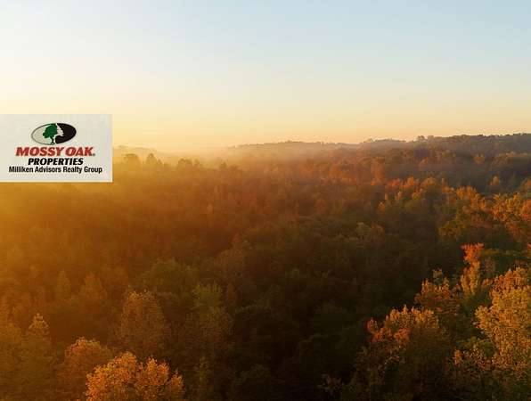 8.6 Acres of Recreational Land for Sale in Pauline, South Carolina