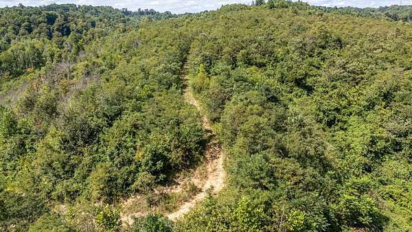103 Acres of Recreational Land for Auction in Gallipolis, Ohio