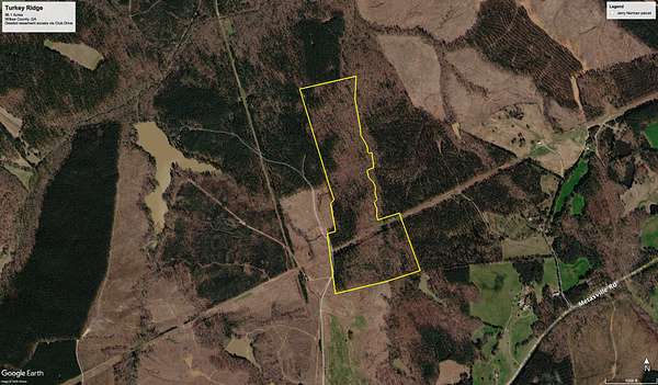96.1 Acres of Recreational Land for Sale in Washington, Georgia
