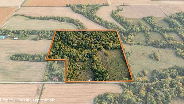 36.8 Acres of Land for Sale in Hillview, Illinois