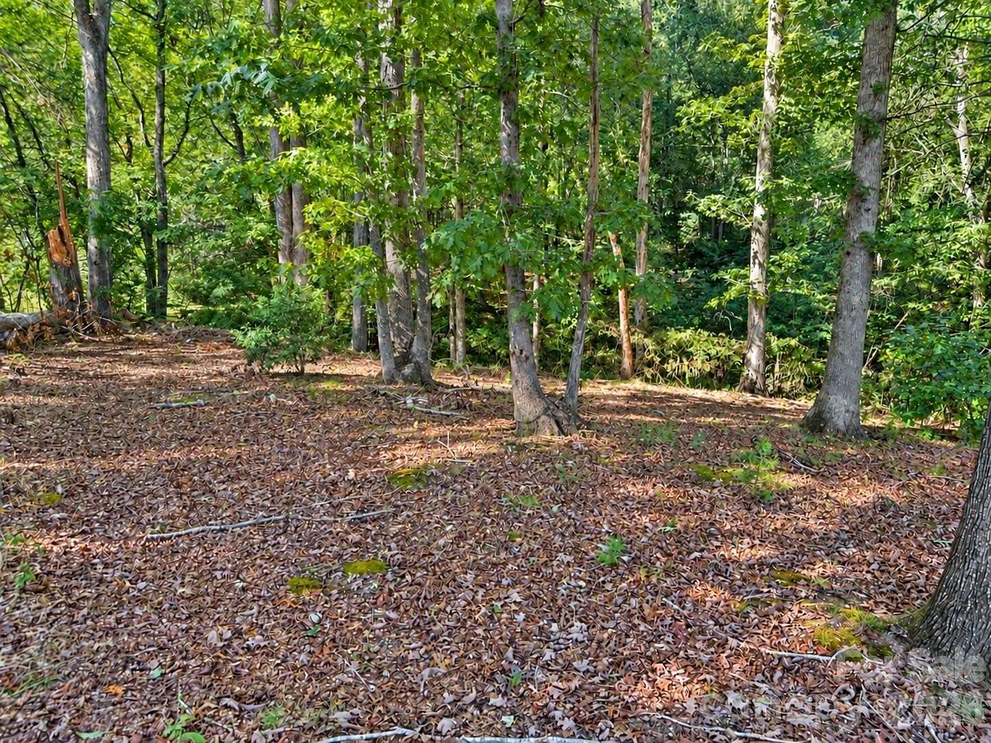 1.1 Acres of Residential Land for Sale in Connelly Springs, North Carolina