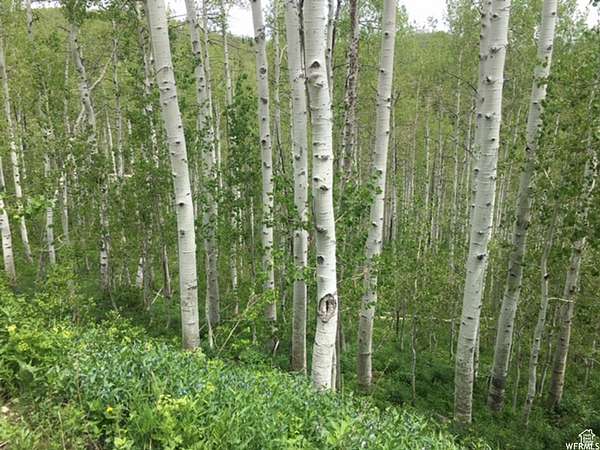 2 Acres of Residential Land for Sale in Coalville, Utah