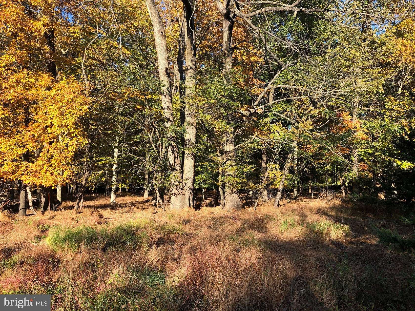 3.3 Acres of Land for Sale in Upper Black Eddy, Pennsylvania
