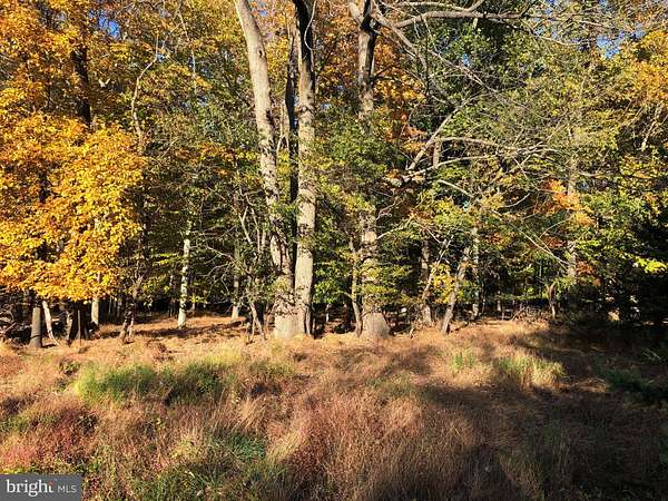 3.3 Acres of Land for Sale in Upper Black Eddy, Pennsylvania