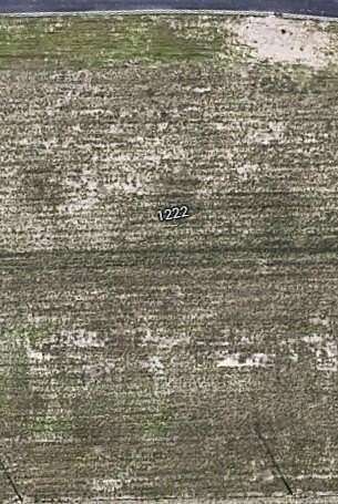 1 Acre of Land for Sale in Palmhurst, Texas