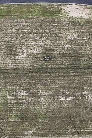 1 Acre of Land for Sale in Palmhurst, Texas