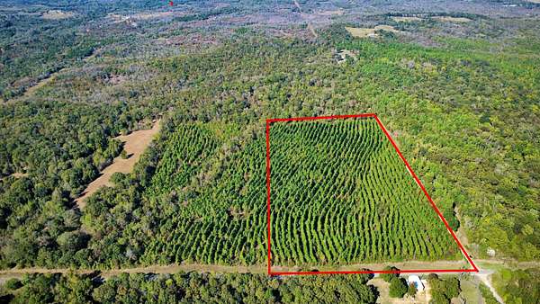 20 Acres of Recreational & Residential Land for Sale in Valliant, Oklahoma