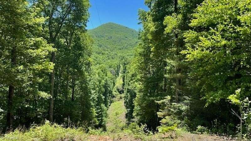 63.5 Acres of Recreational & Residential Land for Sale in Cullowhee, North Carolina