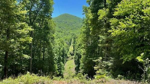 63.5 Acres of Recreational & Residential Land for Sale in Cullowhee, North Carolina