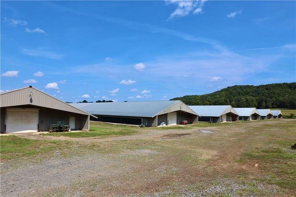 37.5 Acres of Agricultural Land for Sale in Plainville, Georgia