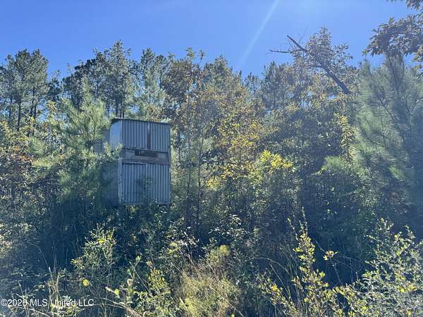 26.6 Acres of Land with Home for Sale in Leakesville, Mississippi