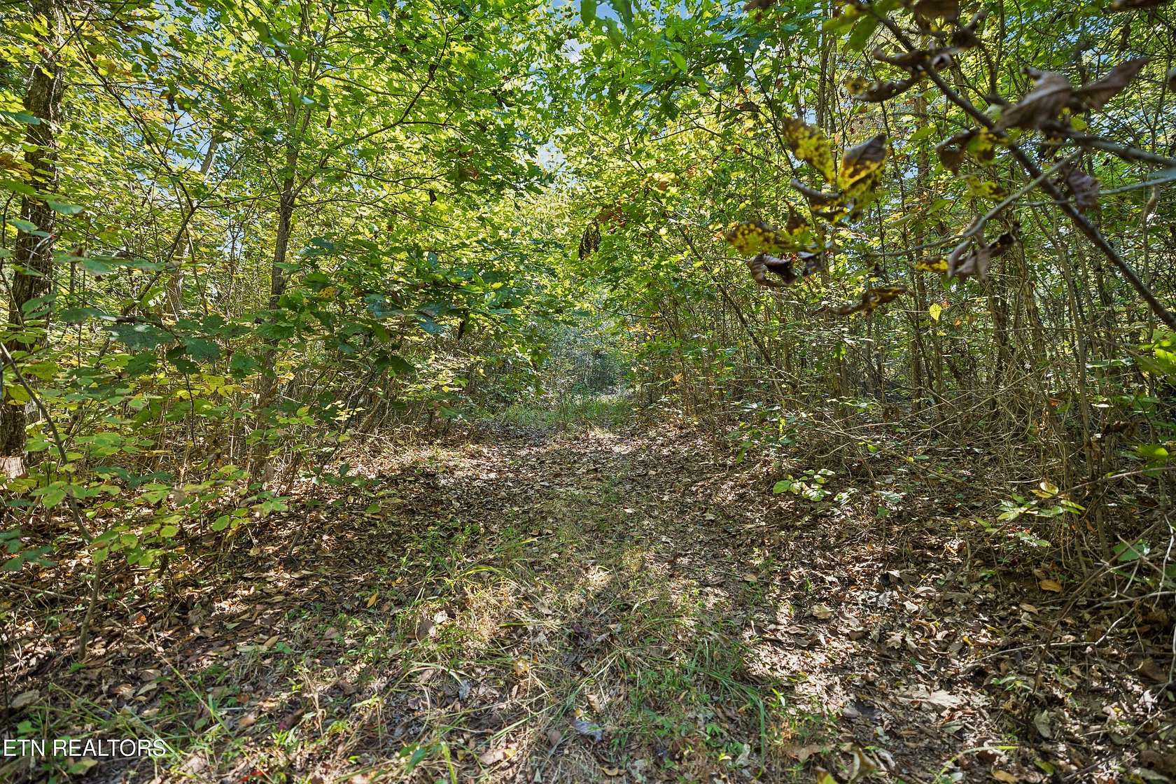 8.7 Acres of Residential Land for Sale in Friendsville, Tennessee