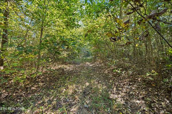 8.7 Acres of Residential Land for Sale in Friendsville, Tennessee