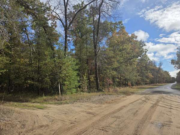 10 Acres of Recreational Land for Sale in Irons, Michigan