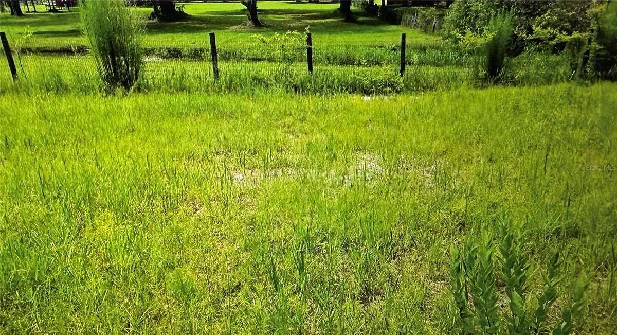 5 Acres of Residential Land for Sale in Webster, Florida
