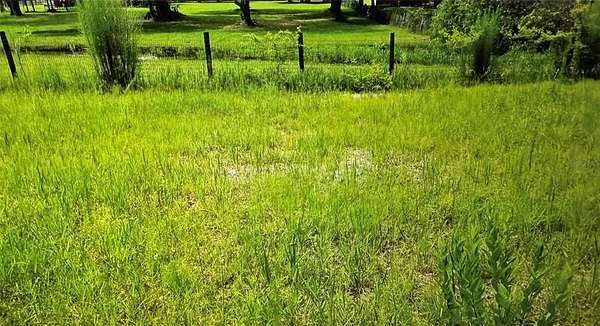 5 Acres of Residential Land for Sale in Webster, Florida