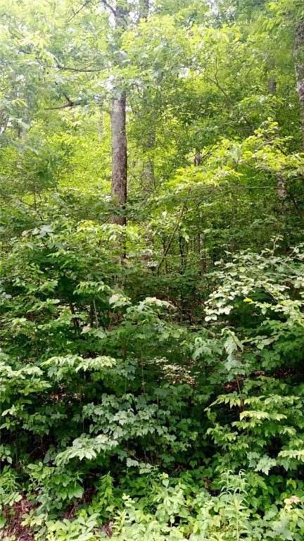 21.8 Acres of Recreational Land for Sale in Spencer, New York