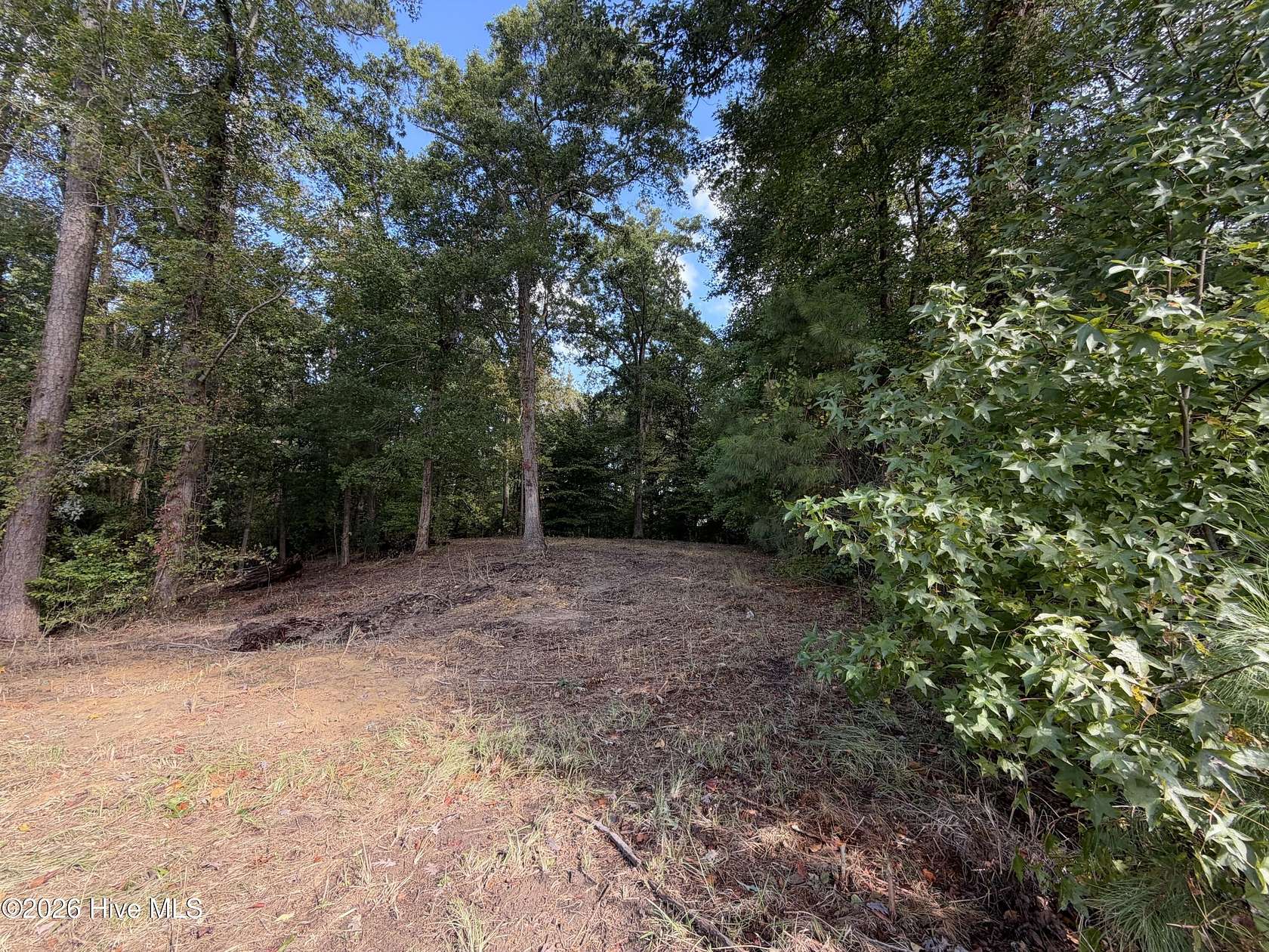 0.45 Acres of Residential Land for Sale in Chocowinity, North Carolina