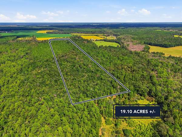 19.1 Acres of Land for Sale in Baker, Florida