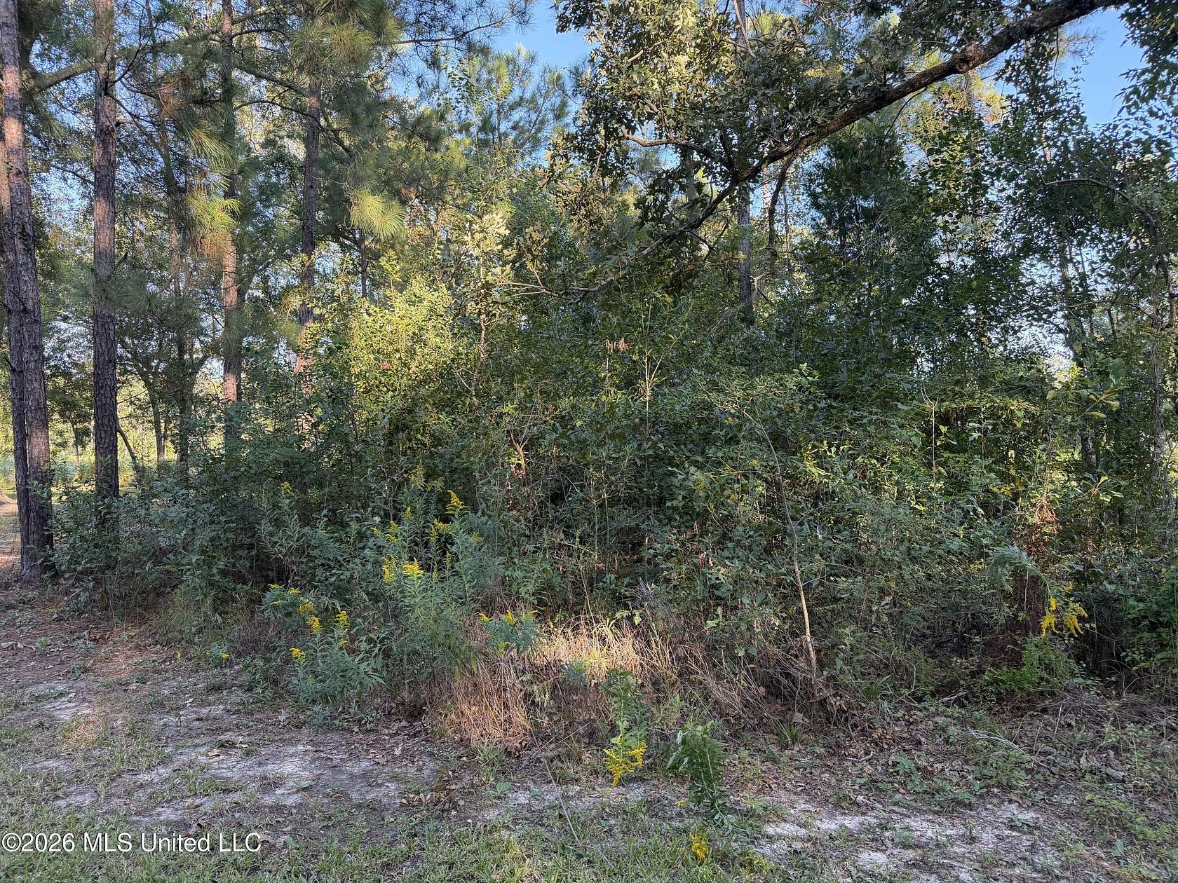 0.17 Acres of Residential Land for Sale in Bay St. Louis, Mississippi