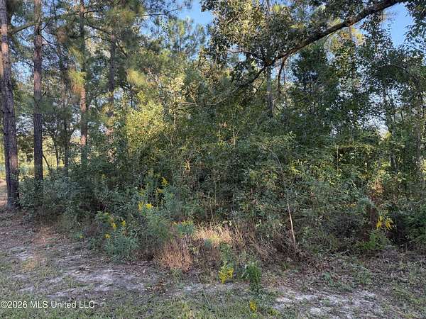 0.17 Acres of Residential Land for Sale in Bay St. Louis, Mississippi