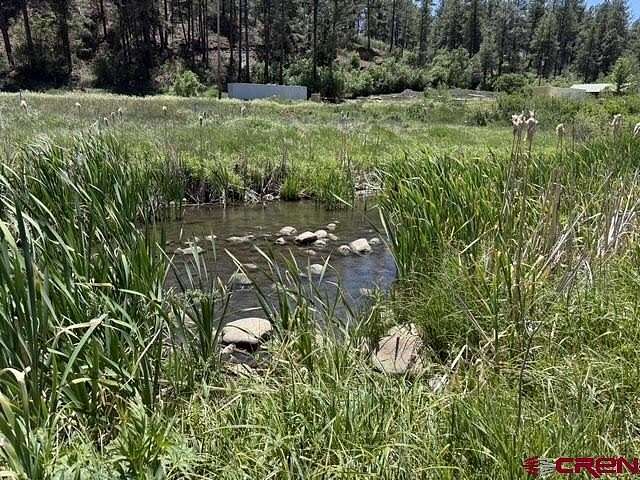 1.29 Acres of Land for Sale in Pagosa Springs, Colorado