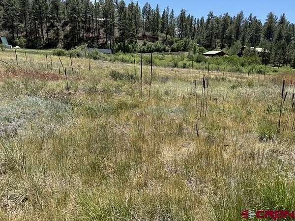 1 Acre of Land for Sale in Pagosa Springs, Colorado