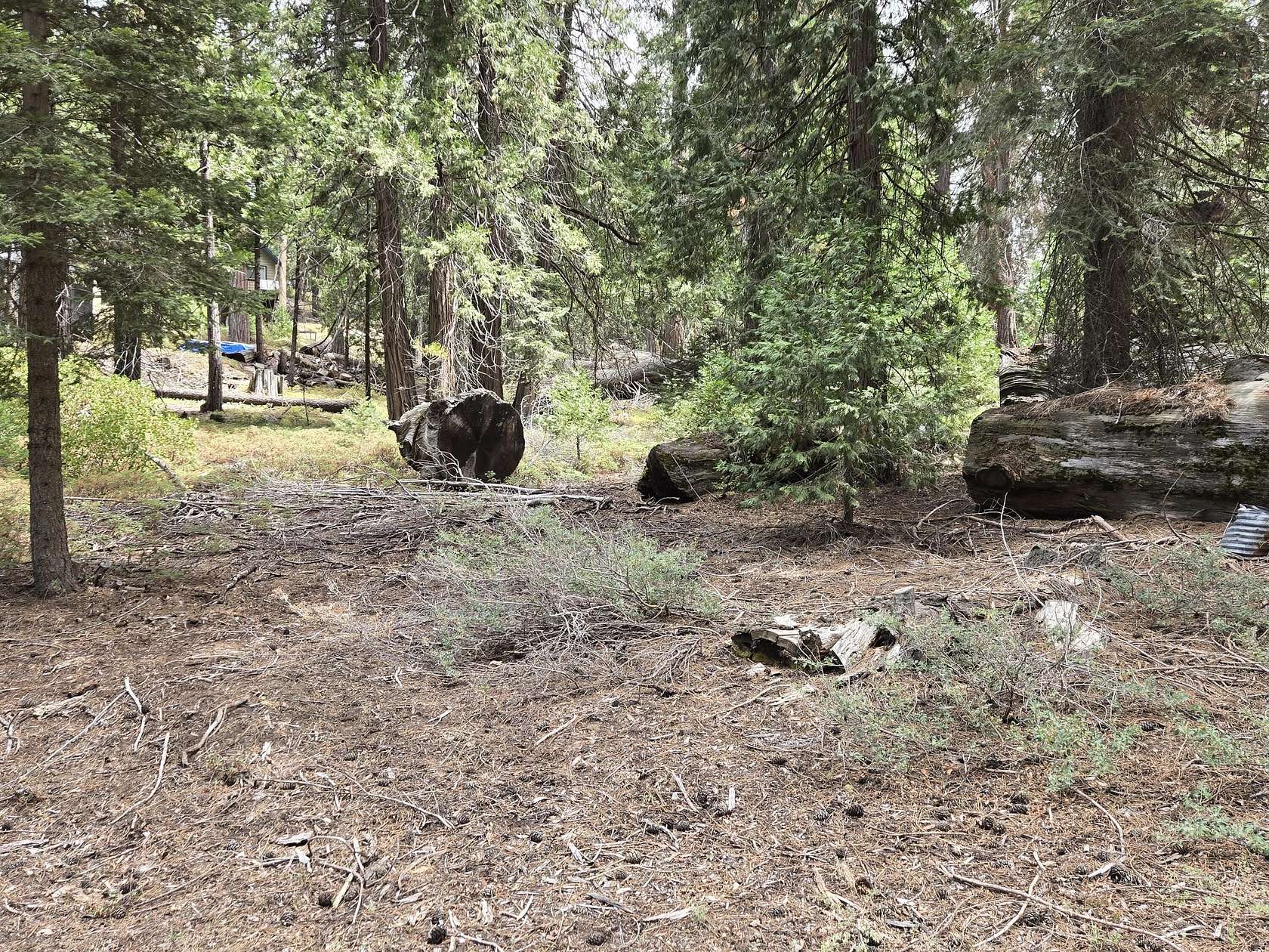 0.38 Acres of Land for Sale in Springville, California