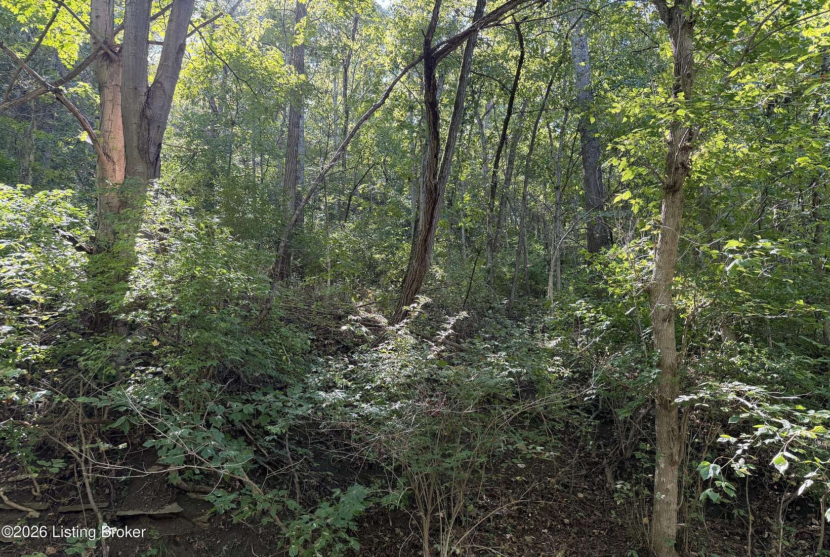 36.1 Acres of Recreational & Residential Land for Sale in Worthville, Kentucky