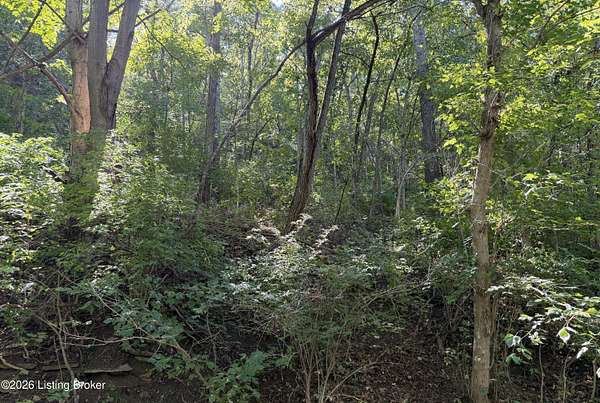 36.1 Acres of Recreational & Residential Land for Sale in Worthville, Kentucky