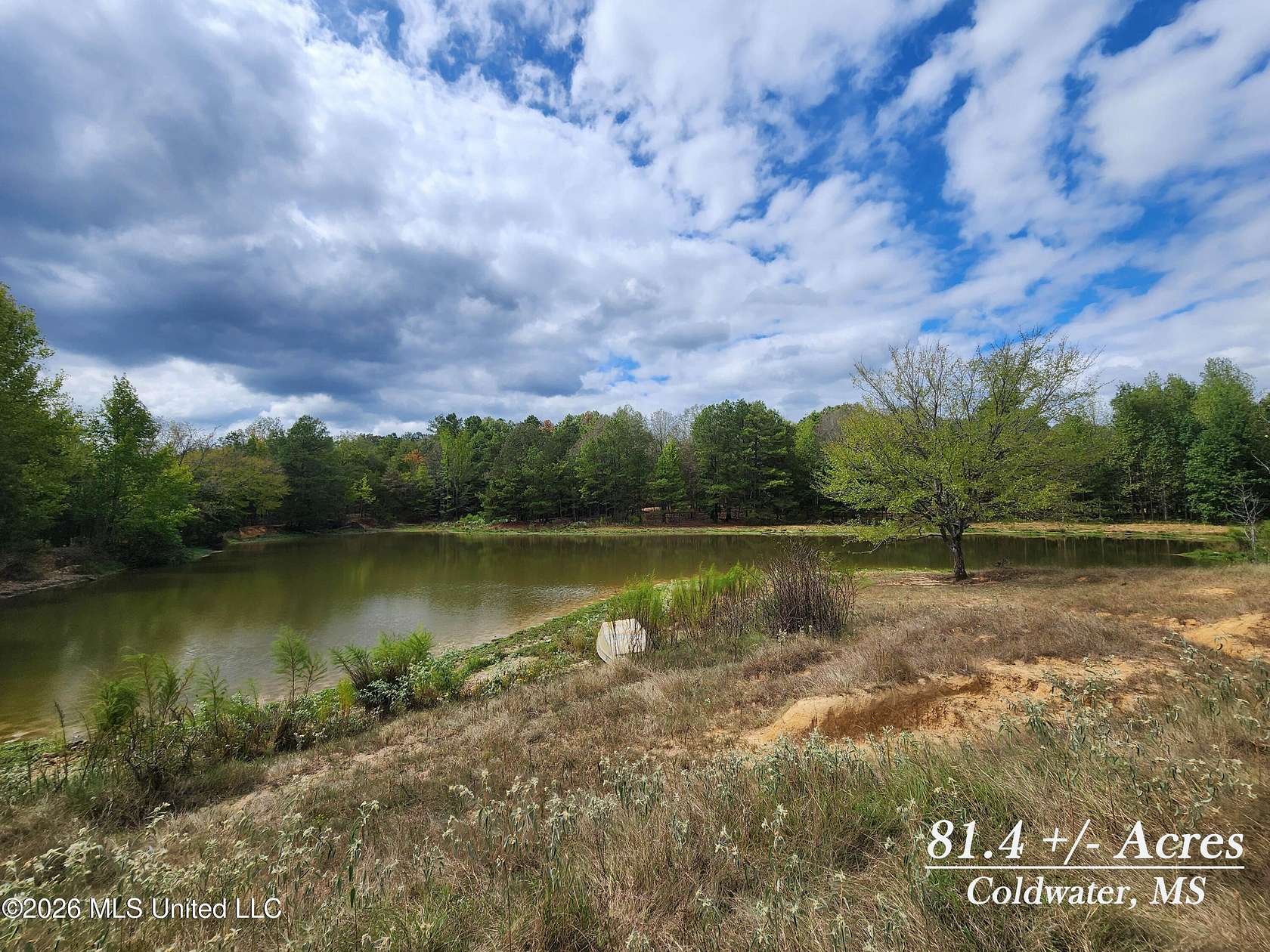 81.4 Acres of Land for Sale in Coldwater, Mississippi