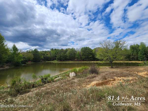 81.4 Acres of Land for Sale in Coldwater, Mississippi