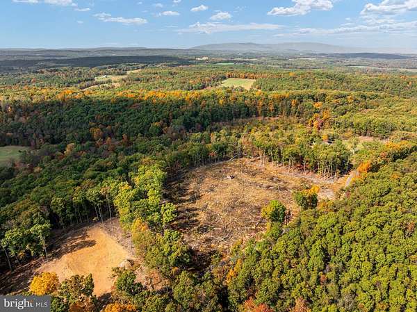 11.7 Acres of Agricultural Land for Sale in Winchester, Virginia