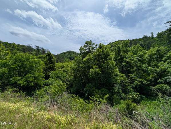 87.5 Acres of Recreational Land for Sale in Duffield, Virginia