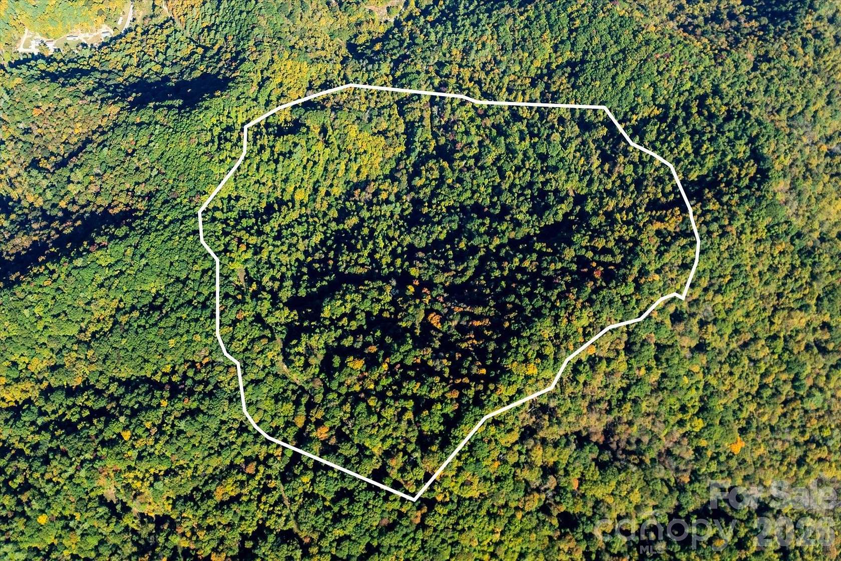 95 Acres of Recreational & Residential Land for Sale in Marshall, North Carolina