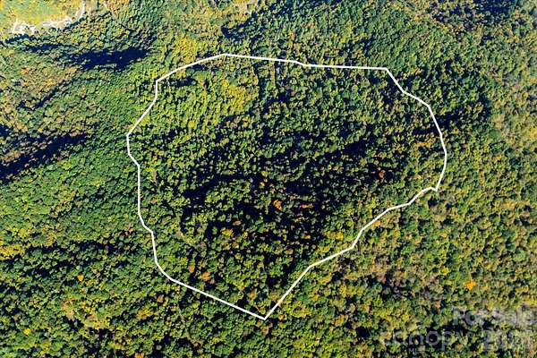 95 Acres of Recreational & Residential Land for Sale in Marshall, North Carolina