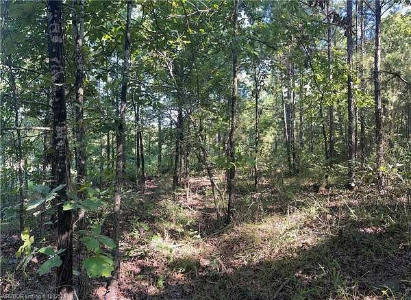 31.6 Acres of Recreational & Residential Land for Sale in Red Oak, Oklahoma