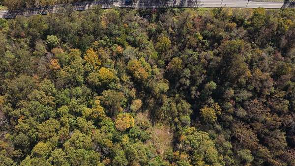 97.1 Acres of Recreational & Residential Land for Sale in Burnsville, West Virginia