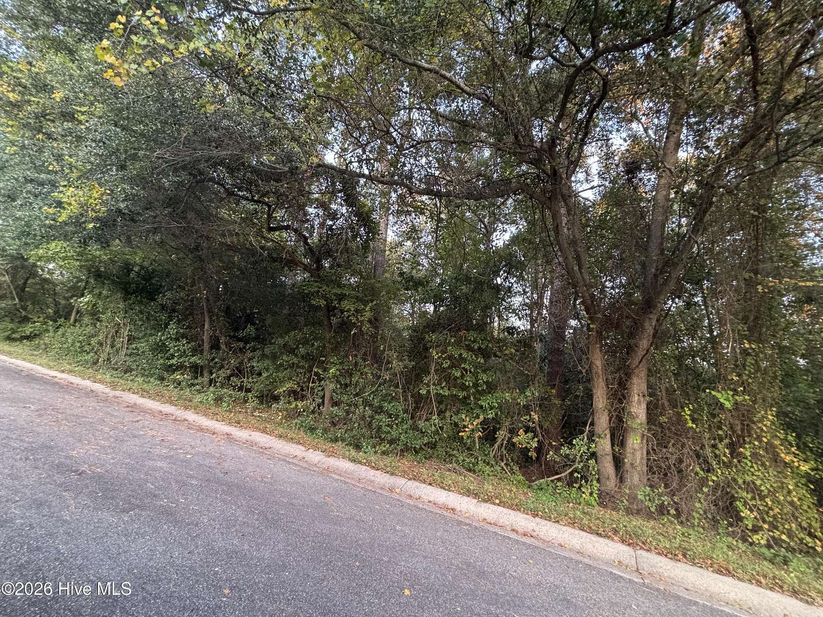 0.37 Acres of Residential Land for Sale in Rockingham, North Carolina