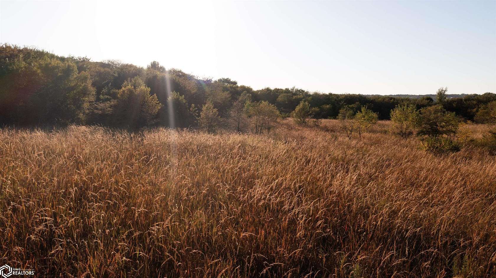 36.3 Acres of Land for Sale in Hamburg, Iowa