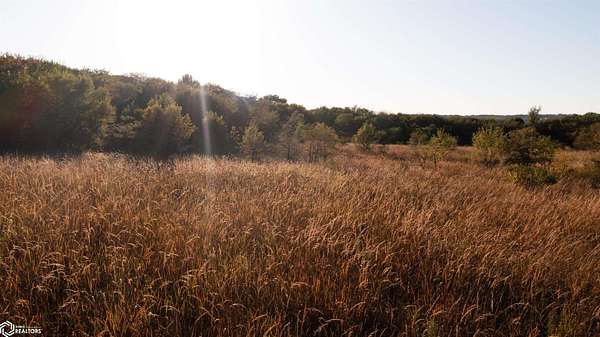 36.3 Acres of Land for Sale in Hamburg, Iowa