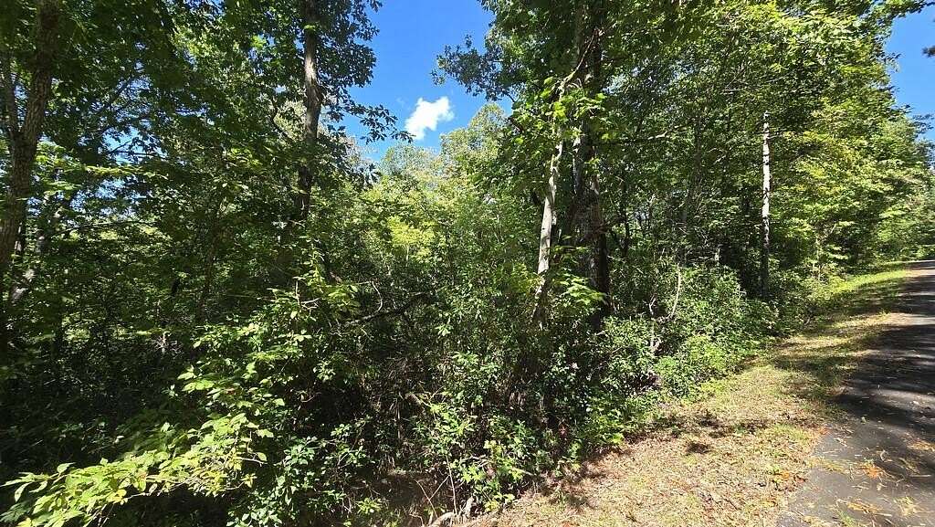 1 Acre of Land for Sale in Hiawassee, Georgia