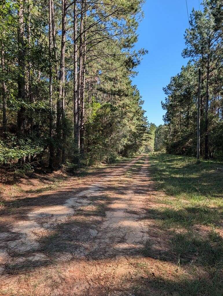 9 Acres of Residential Land for Sale in Poplarville, Mississippi